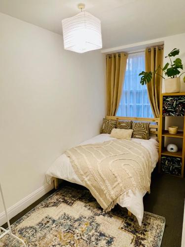 Centrally located modern flat في لندن: غرفة نوم بسرير مع نافذة وسجادة