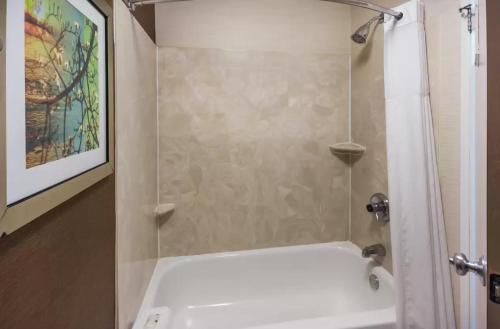 a bathroom with a shower and a white bath tub at Quality Inn & Suites Bozeman in Bozeman