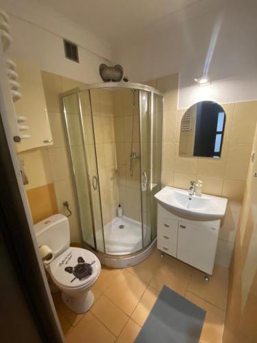 W łazience znajduje się prysznic, toaleta i umywalka. w obiekcie Night Host Matejki 4 w Bytomiu