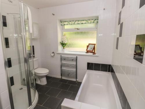 uma casa de banho com uma banheira, um WC e uma janela. em Hillside Lodge em Llandrindod Wells