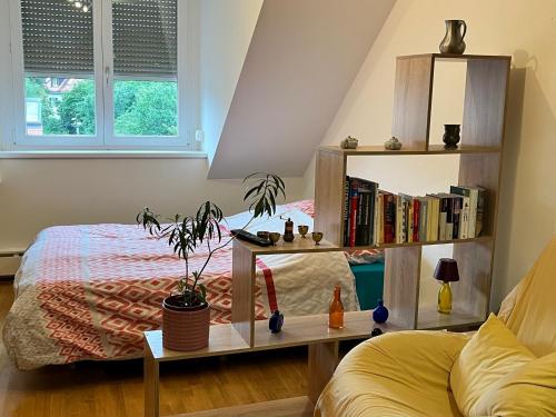 a bedroom with a bed and a book shelf at Charmantes Appartement - München in Munich
