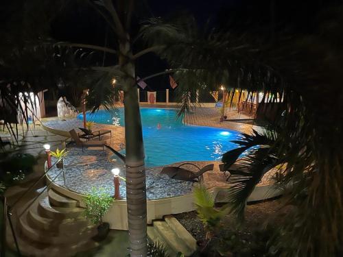 einen Swimmingpool mit Palme in der Nacht in der Unterkunft BregmanHouse 