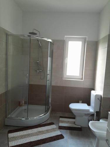 La salle de bains est pourvue d'une douche, de toilettes et d'un lavabo. dans l'établissement Apartament b&b Rădăuți, à Rădăuţi