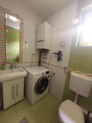 een badkamer met een wasmachine en een wastafel bij Sarajevo Flower Garden in Vogošća