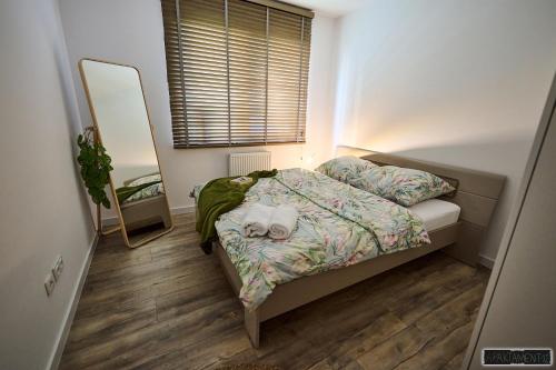 Apartament 12