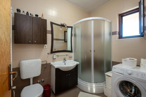 bagno con lavandino e lavatrice di Rural Accommodation Veselic a Pridvorje