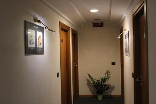 a hallway with a door and a potted plant at Arcangelo Roof Hotel in Rimini