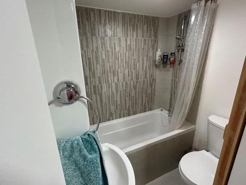 uma casa de banho com uma banheira, um WC e um lavatório. em Stardust Getaway E32R670 em Piltown