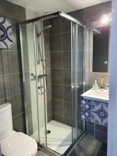 une salle de bain avec une douche, des toilettes et un lavabo dans l'établissement Studio meublé Saint-Cyr-au-mont-d'or, à Saint-Cyr-au-Mont-dʼOr