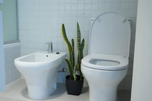 baño con aseo, lavabo y cactus en Sueños del Lago Puertos/Escobar en Buenos Aires