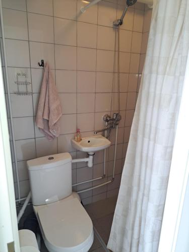 y baño con aseo y lavamanos. en Kullerkupu Hostel, en Kuressaare