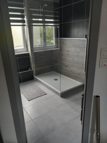 a bathroom with a shower with a glass door at Appartement 3 pièces avec balcon in Rhinau