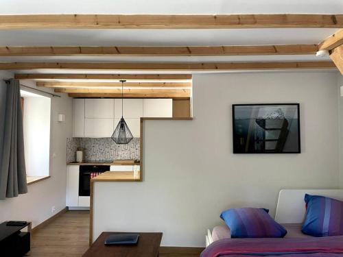 Cosy appartement centre chamonix photo 12
