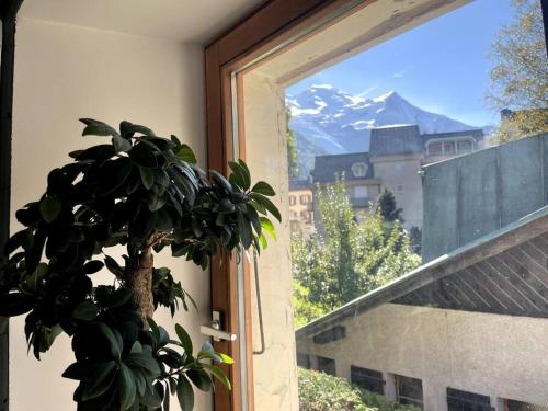 Cosy appartement centre chamonix photo 15