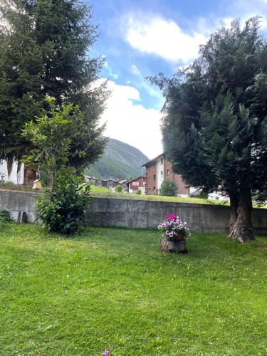a yard with a retaining wall and a tree and flowers at Modern Täsch Apartment with Free Parking in Täsch
