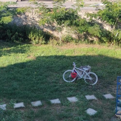 una bicicleta estacionada en el césped en un campo en Adriana, en Murfatlar