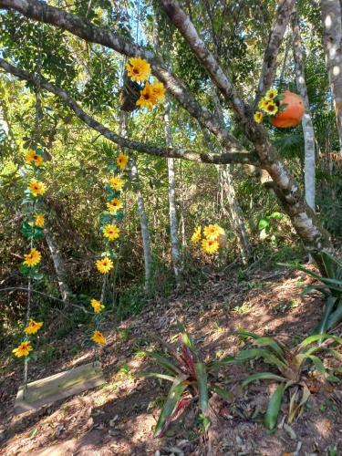 Taman di luar Recanto Paraíso da Colina