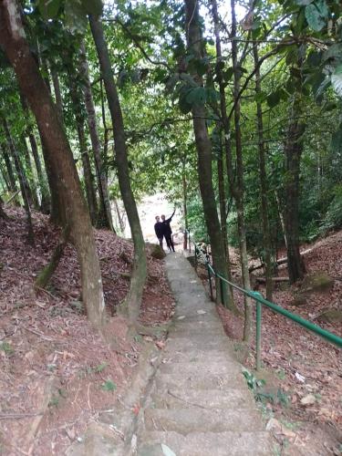 Gäste, die in der Unterkunft Cabañas en Los Altos de cerro Azul Panamá Cascadas RIos Naturaleza viva übernachten