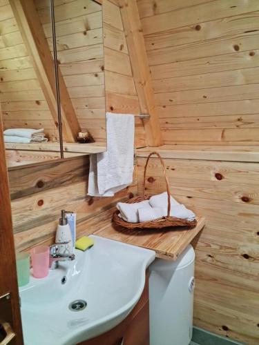 a bathroom with a sink and a toilet in a cabin at Family S house - Komarnica in Šavnik