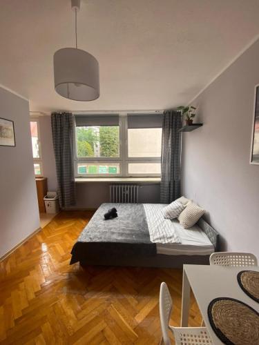 sypialnia z łóżkiem i dużym oknem w obiekcie Night Host Matejki 4 w Bytomiu