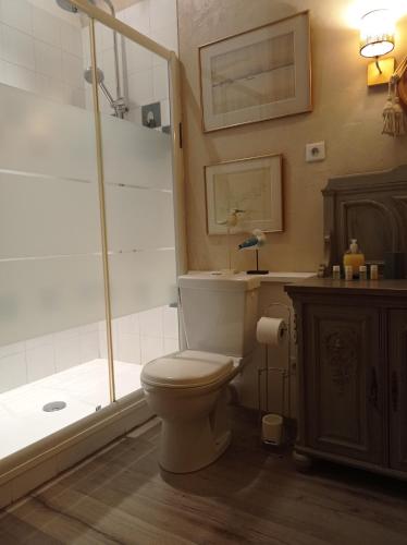 une salle de bain avec toilettes et douche dans l'établissement Le Château de Roquebère, à Condom