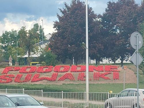 a large sign that says dobots in a field of cars at Apartament Centrum in Suwałki