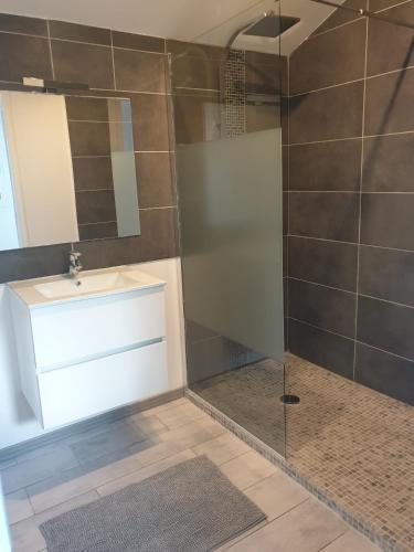 une salle de bain avec une douche avec un lavabo et un miroir dans l'établissement Gîtes L'HERMITAGE, à La Tour-dʼAigues