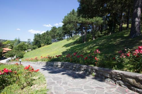 Gambar di galeri bagi I Cancelli - Family Village di Palazzuolo sul Senio