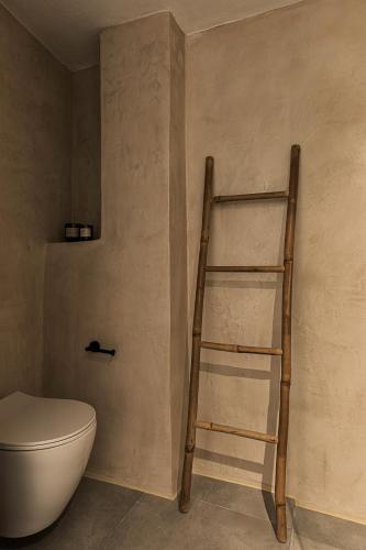 a bathroom with a ladder next to a toilet at Soleil boutique house with terrace in Rethymno Town