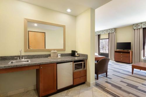 een badkamer met een wastafel en een spiegel en een woonkamer bij Hampton Inn & Suites Birmingham Airport Area in Birmingham