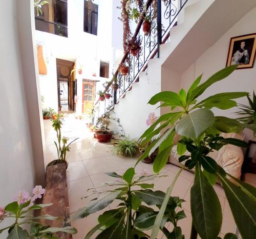 a hallway with plants and stairs in a building at Hostal Turismo Cruz de Piedra EIRL-Cajamarca in Cajamarca
