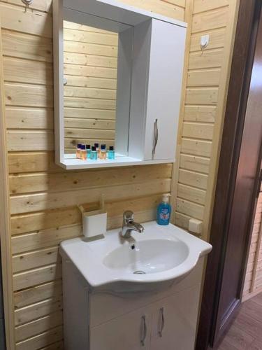 a bathroom with a sink and a mirror at C`est la vie in Mtskheta