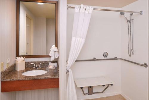 a bathroom with a sink and a mirror at Hilton Garden Inn White Marsh in White Marsh