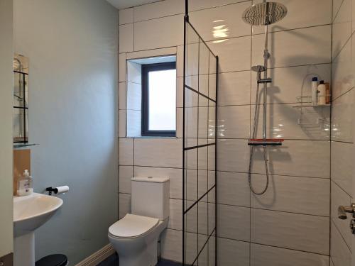 a bathroom with a toilet and a shower at Teach Aindí (newly renovated cottage) in Belmullet
