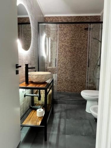 a bathroom with a shower and a toilet and a sink at FURNAS DREAM HOUSE in Furnas