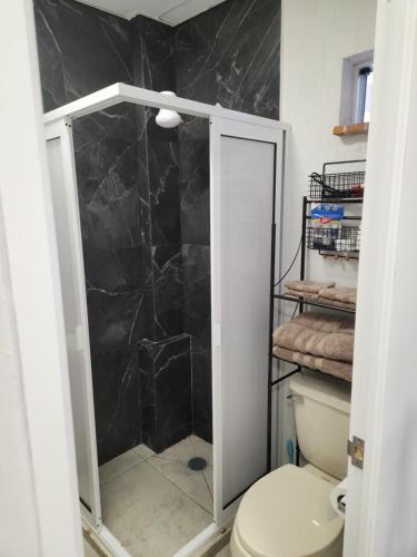 a bathroom with a shower and a toilet at Las heliconias 3 moderno loft in Oaxaca City