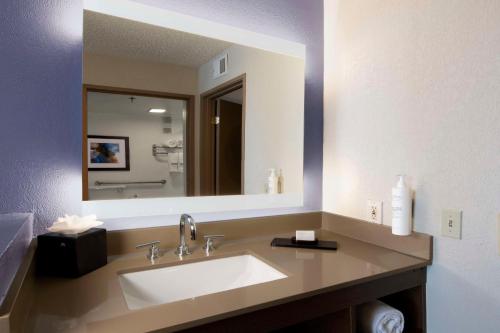 a bathroom with a sink and a large mirror at Embassy Suites Dallas - DFW International Airport South in Irving