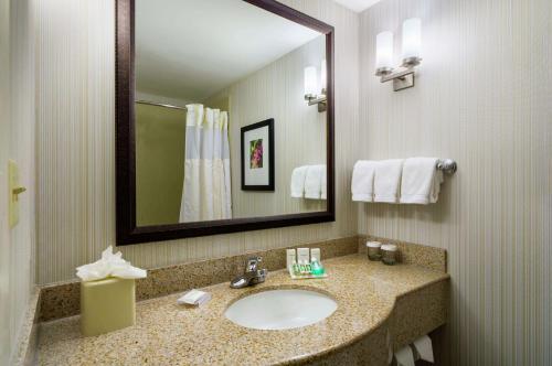La salle de bains est pourvue d'un lavabo et d'un miroir. dans l'établissement Hilton Garden Inn Edison/Raritan Center, à Edison