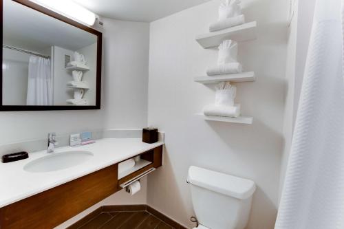 La salle de bains est pourvue d'un lavabo, d'un miroir et de toilettes. dans l'établissement Hampton Inn Harrisonburg - University, à Harrisonburg