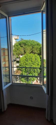 une grande fenêtre avec vue sur un arbre dans l'établissement GHIS Lotus, à Cannes