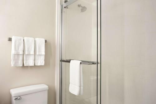 a bathroom with a shower with white towels at Hilton Garden Inn New Orleans Convention Center in New Orleans