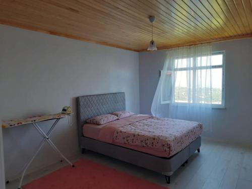 a bedroom with a bed and a window at Trabzon Village House in Yomra