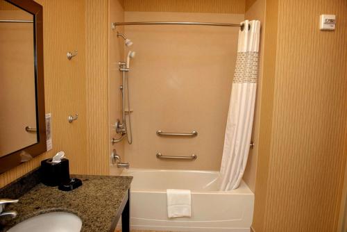 y baño con ducha, bañera y lavamanos. en Hampton Inn & Suites Bradenton, en Bradenton