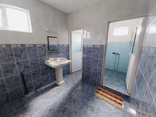 uma casa de banho com um lavatório, um chuveiro e um espelho. em Coral Apartment ( 5 bedroom apartment) em Grand Gaube