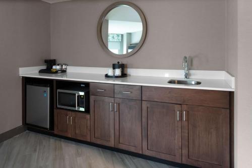 a bathroom with a sink and a mirror at Hampton Inn & Suites Arlington Crystal City DCA in Arlington