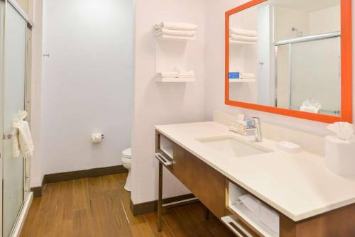 a bathroom with a sink and a mirror and a toilet at Hampton Inn Statesville in Statesville