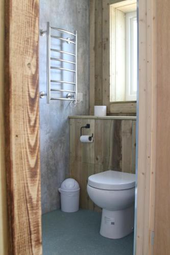 a bathroom with a toilet and a window at The Moo-tel at Moody Meadows in Aberaeron