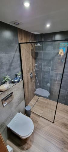 een badkamer met een toilet en een glazen douche bij Apartamenty Siedlisko pod Aniołem in Zubrzyca Górna