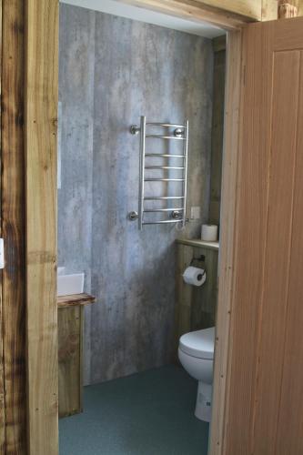 a bathroom with a toilet and a sink at The Moo-tel at Moody Meadows in Aberaeron
