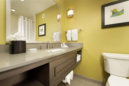 a bathroom with a sink and a toilet and a mirror at Hilton Garden Inn College Station in College Station